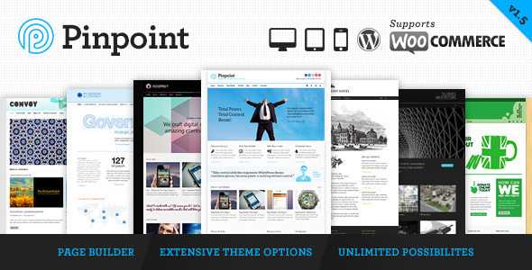 Pinpoint 自适应WordPress企业主题[1.5]